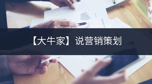 大牛家的营销策划制胜之道 让企业在创新中崛起
